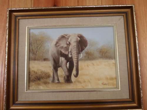 Oil on Board  - T Hacking -  Elephant   - Frame Size 50 cm x 40 cm