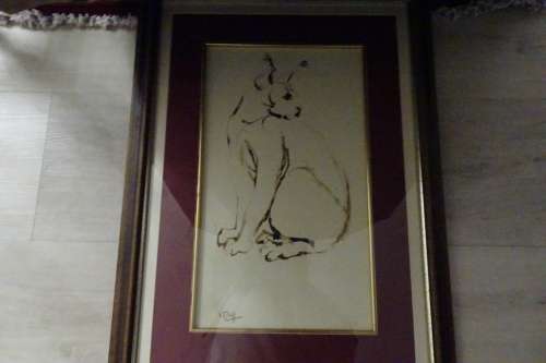 Zakkie Eloff 1925 - 2004 Pen on Paper  - South African Wildcat -Frame size 66 x 46cm