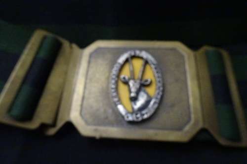SADF SAI Stable Belt  - Good condition