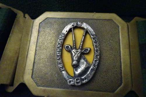 SADF SAI Stable Belt  - Good condition