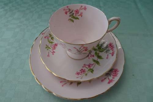 Tuscan Fine English Bone China made in England Trio in excellent condition