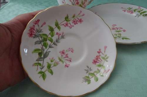 Tuscan Fine English Bone China made in England Trio in excellent condition