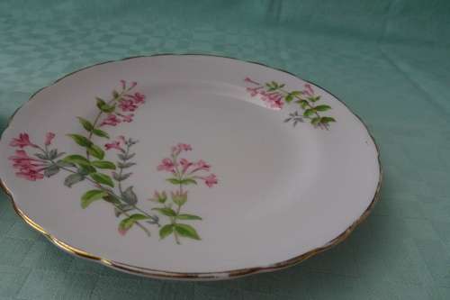 Tuscan Fine English Bone China made in England Trio in excellent condition