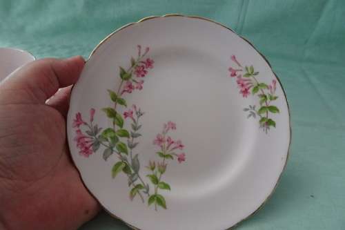 Tuscan Fine English Bone China made in England Trio in excellent condition