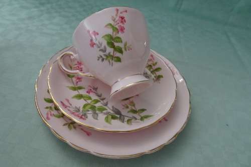 Tuscan Fine English Bone China made in England Trio in excellent condition