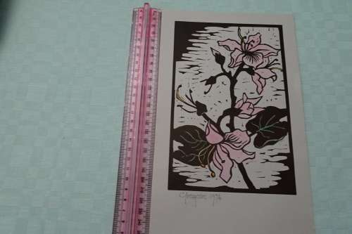Very Interesting Gregoire Boonzaier 1909-2005  Linocut Hibiscus in Colour1974 Please see discription