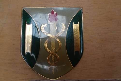 SADF Shoulder Flash