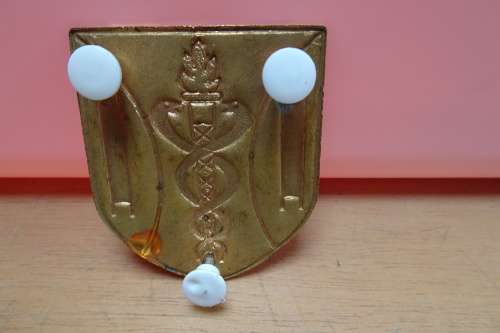 SADF Shoulder Flash