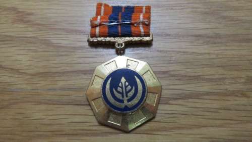 South African Defence Force Pro Patria Service Medal Instituted in 1974