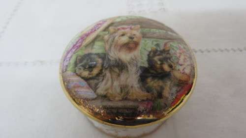 Vintage Total Elegance Staffordshire Fine Bone China Trinket Box Yorkie Dog Decoration 6 x 3,5 cm