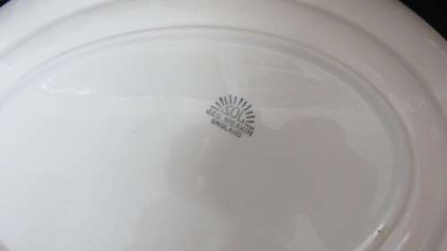 Awesome Vintage Sol JandG Meakin Rose Serving Platter With Green Border. Made in England.