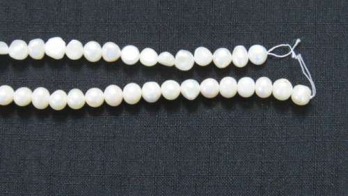 Two Strings of Cream Freshwater Pearls. No Clasps. Length 36cm and 37cm.