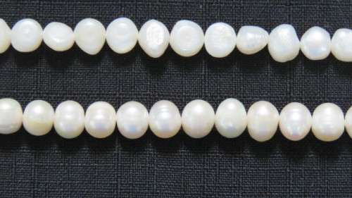 Two Strings of Cream Freshwater Pearls. No Clasps. Length 36cm and 37cm.