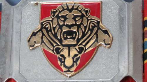 South African Defence Force Pride of the Lions Stable Belt L: 97 cm