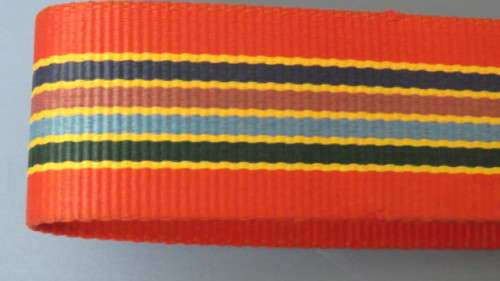 South African Defence Force Pride of the Lions Stable Belt L: 97 cm