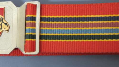 South African Defence Force Pride of the Lions Stable Belt L: 97 cm