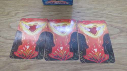 Boxed 52-Card Deck With Guidebook `Trust Your Vibes` Oracle Cards by Sonia Choquette