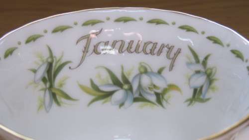 Vintage Royal Albert Bone China Flower of the Month Series (January) `Snowdrop` Teacup and Saucer