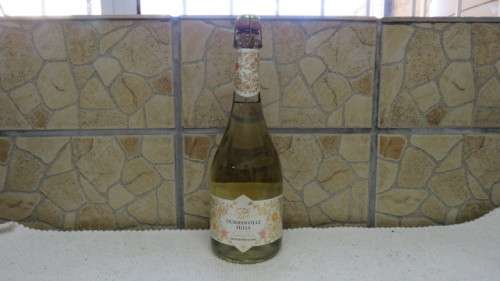 Sealed 750ml Bottle of Durbanville Hills Sauvignon Blanc Sparkling Wine