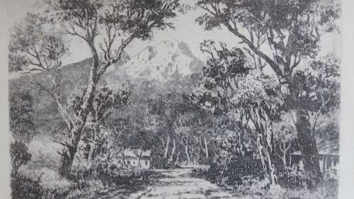 Framed Original Tinus de Jongh (1885-1942) Etching `Avenue Hout Bay` Signed 41 x 37 cm