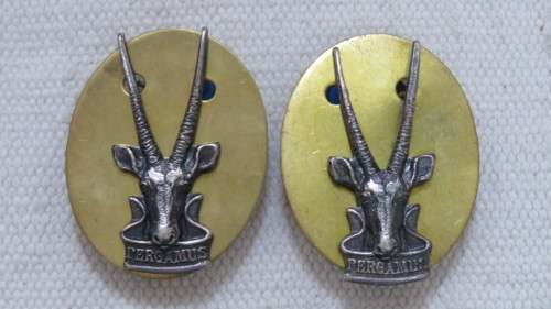 Two SWATF Headquarters Beret Badges