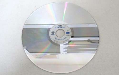 Vintage `The River Wild` Widescreen Edition LaserDisc Dolby Surround Sound - Meryl Streep SOLD AS IS
