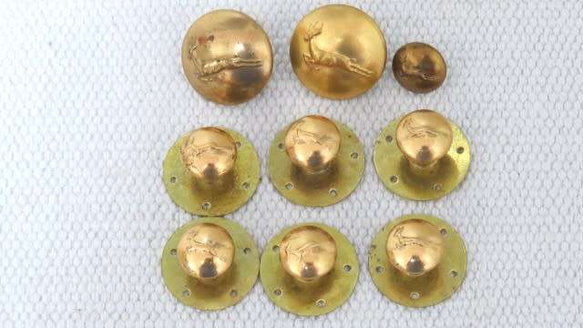 South African Defence Force Springbok Buttons - 6 Screw In (Scarce), Two Large, One Small