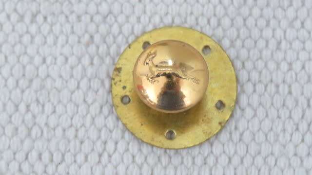 South African Defence Force Springbok Buttons - 6 Screw In (Scarce), Two Large, One Small