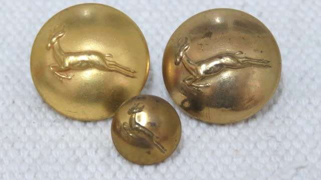South African Defence Force Springbok Buttons - 6 Screw In (Scarce), Two Large, One Small