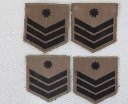 Large Collection of Military And Other Badges