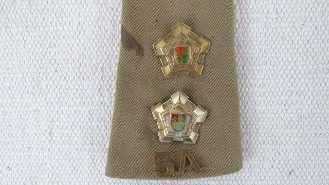 Large Collection of Military And Other Badges