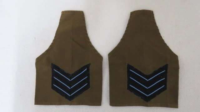 Large Collection of Military And Other Badges