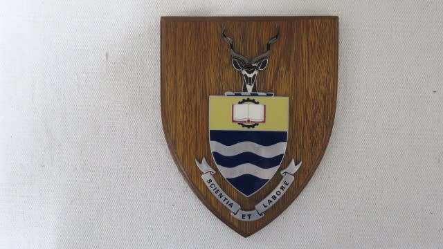 Large Collection of Military And Other Badges