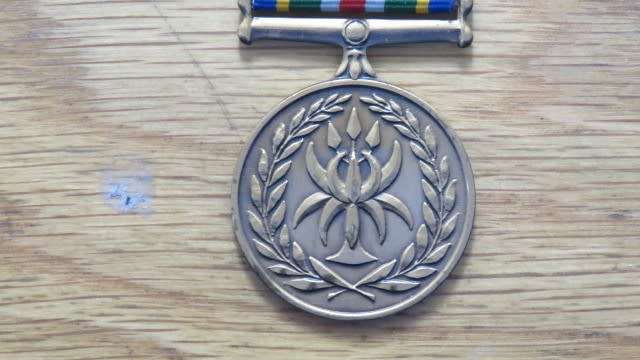 South African Police Services Reconciliation And Amalgamation 15 October 1995 Medal (93035)