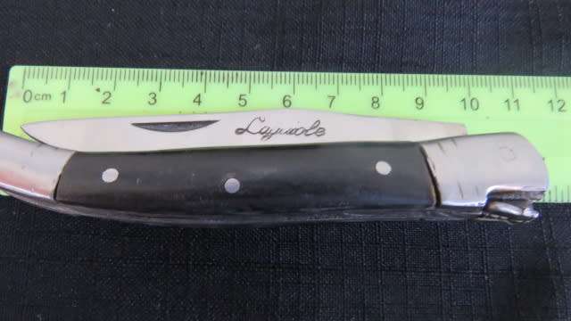 Stunning Vintage `Laguiole` Folding Knife L: 220 mm