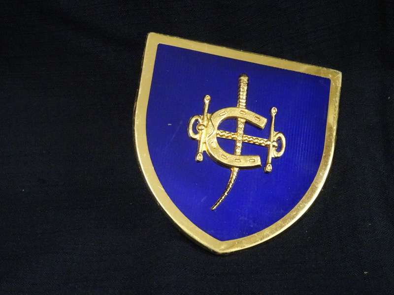 Rare The HongKong Jockey Club Car Badge (H - 11cm / B - 11cm)