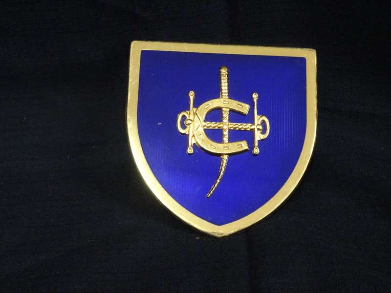 Rare The HongKong Jockey Club Car Badge (H - 11cm / B - 11cm)