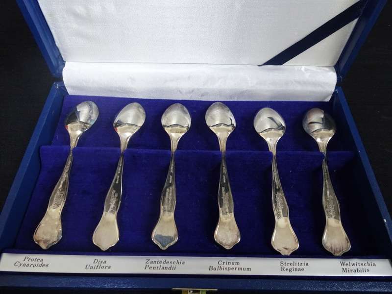 Stunning Set Of South African Wildflower Tea Spoon Collection See Description