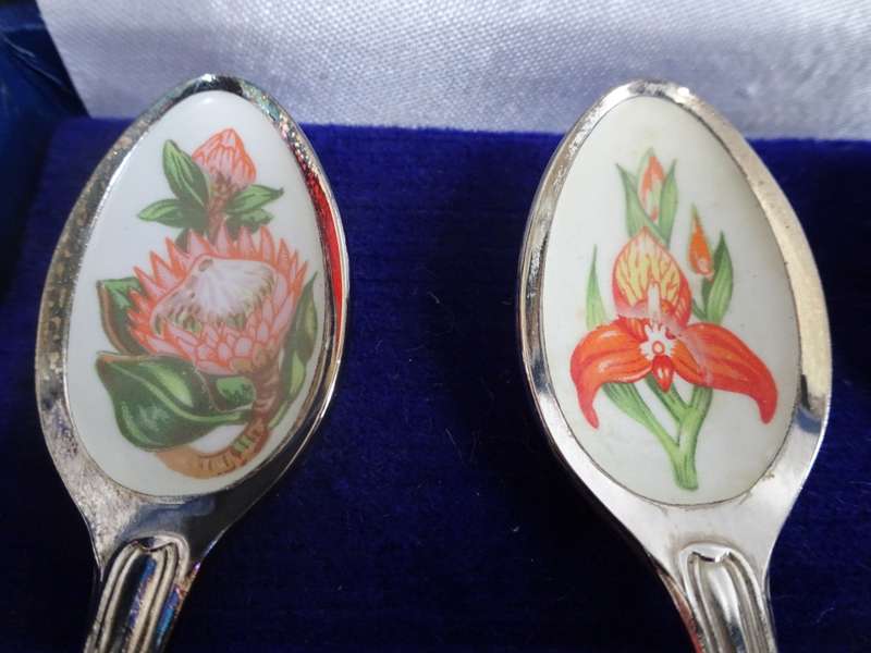 Stunning Set Of South African Wildflower Tea Spoon Collection See Description