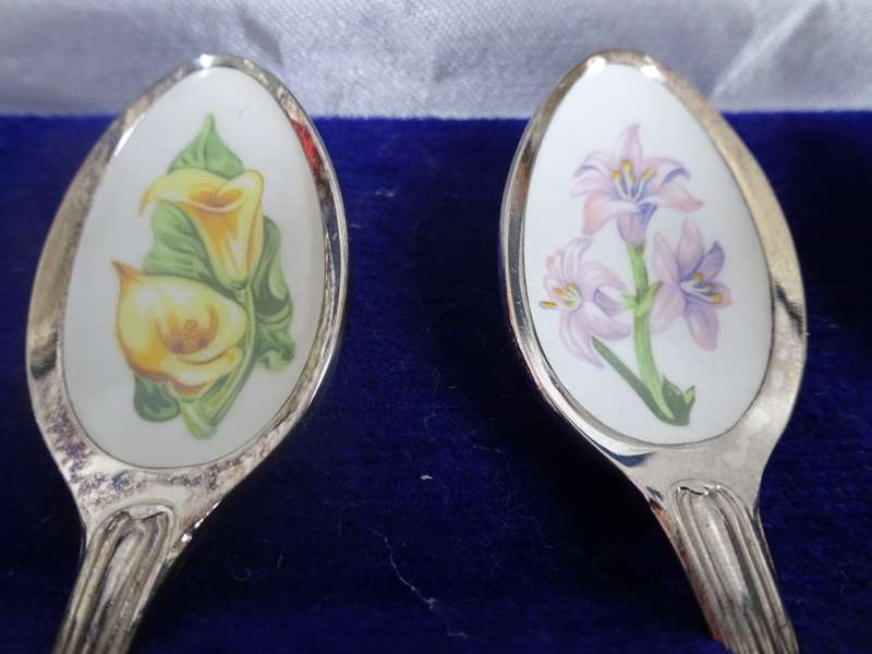Stunning Set Of South African Wildflower Tea Spoon Collection See Description