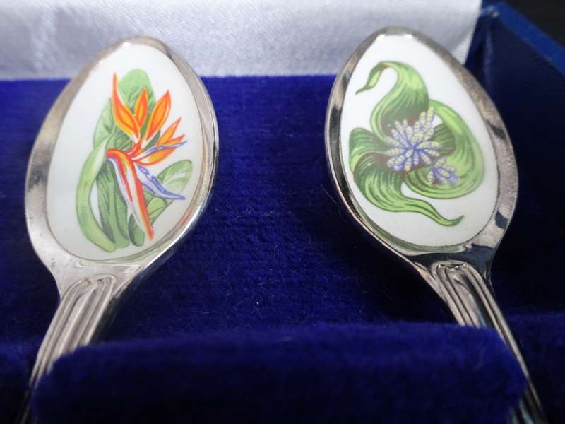 Stunning Set Of South African Wildflower Tea Spoon Collection See Description