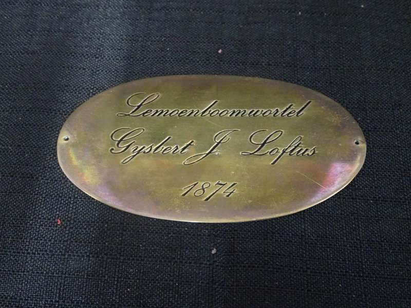 Stunning Pre Boere War Period 1874 Lemoenboomwortel Pipe Beloning To Gysbert J. Loftus