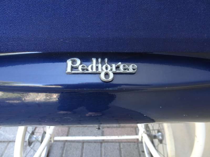 Antique Vintage 1950`s - 1960`s Pedigree Baby Stroller, Carriage Buggy (1m x 1.7m)