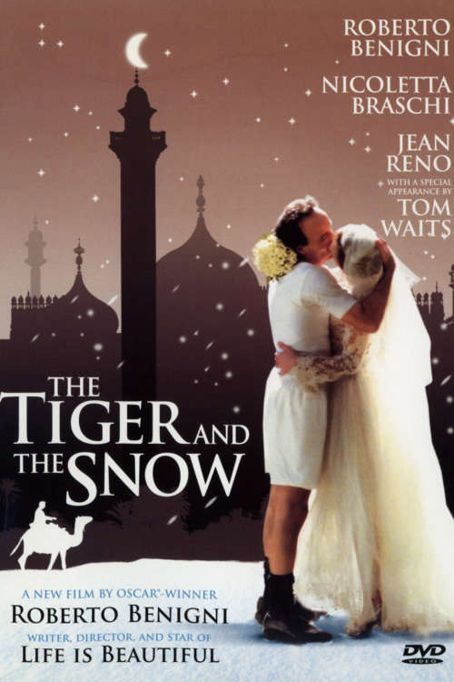 The Tiger and The Snow - DVD