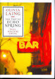 The Trip to Echo Spring: On Writers and Drinking by Olivia Laing