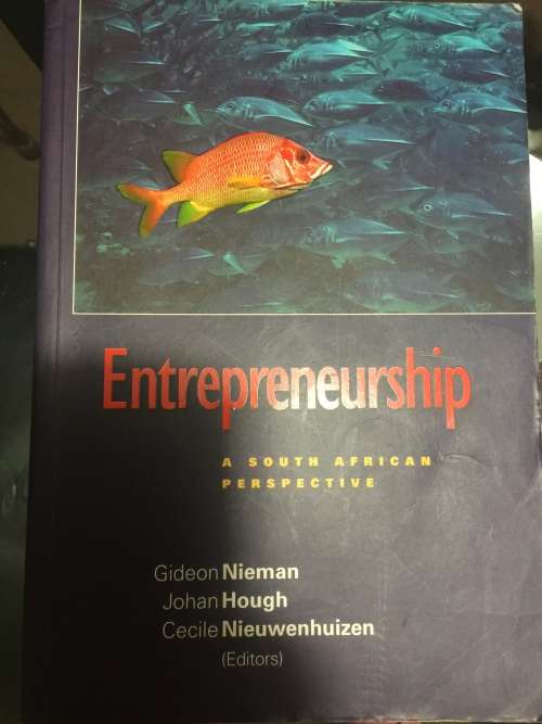 Entrepreneurship A South African Perspective