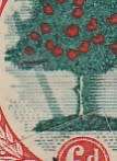UNION OF SOUTH AFRICA. SACC 60. VARIETY "FALLING LADDER". MOUNTED MINT. CV R2300.