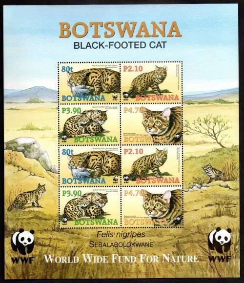 BOTSWANA 2005 (X3) ENDANGERED SPECIES BLACK-FOOTED CAT UMM MINI SHEETS. SGMS1044. GOOD VALUE.