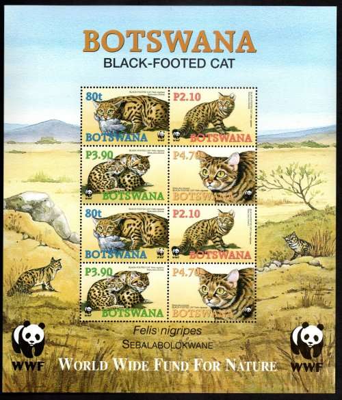 BOTSWANA 2005 (X3) ENDANGERED SPECIES BLACK-FOOTED CAT UMM MINI SHEETS. SGMS1044. GOOD VALUE.