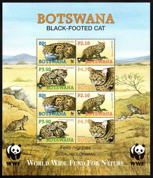 BOTSWANA 2005 (X3) ENDANGERED SPECIES BLACK-FOOTED CAT UMM MINI SHEETS. SGMS1044. GOOD VALUE.